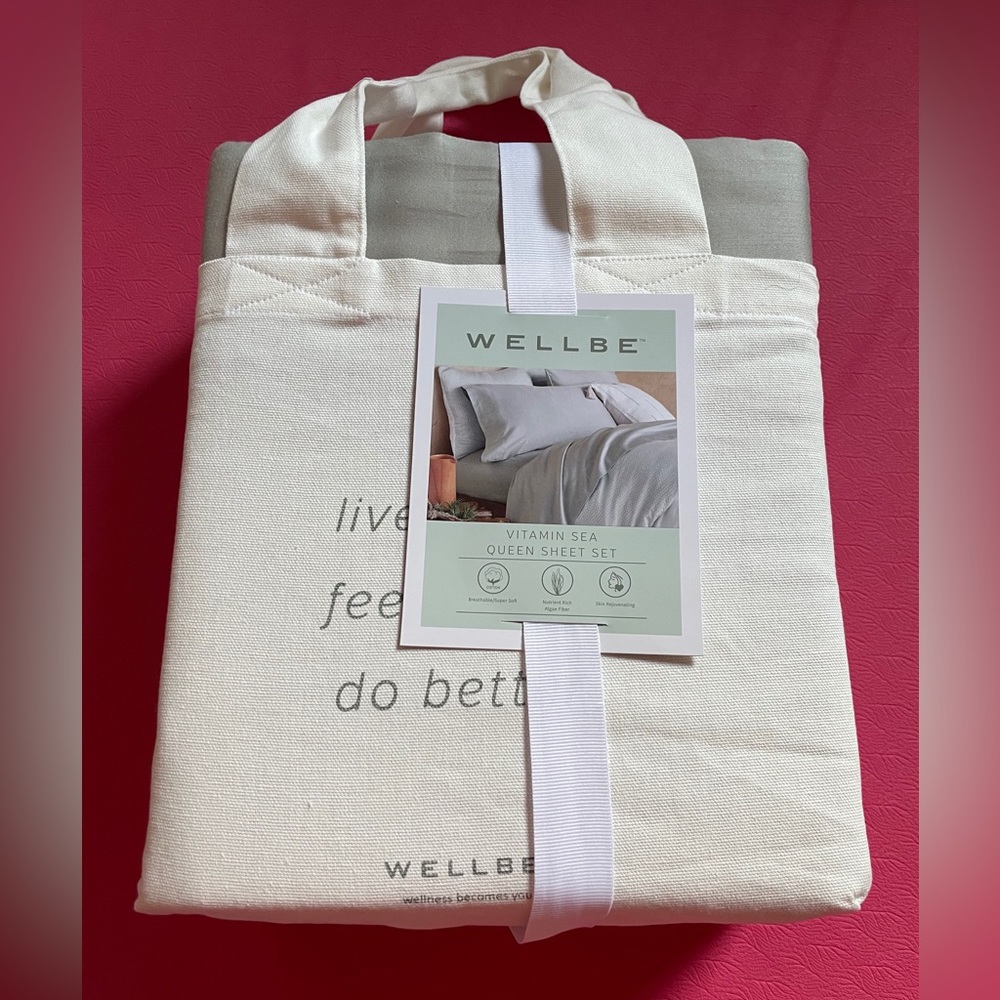 NWT $150 Wellbe Queen sheet set + 2 pillow cases sea salt Price FIRM